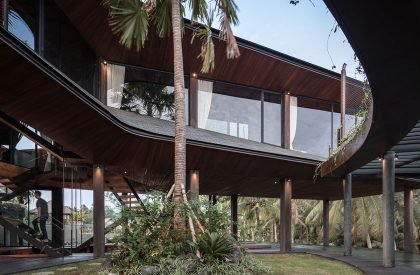 Butterfly House | Alexis Dornier