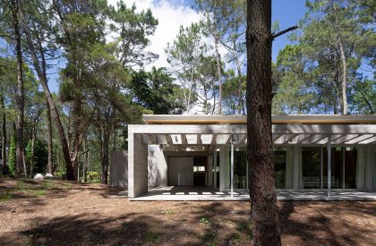 Pingüino House | Estudio Galera