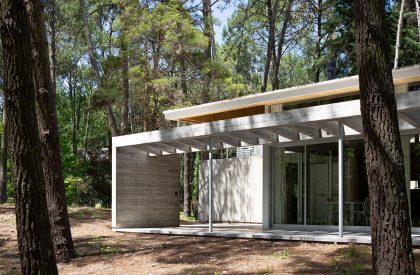 Pingüino House | Estudio Galera