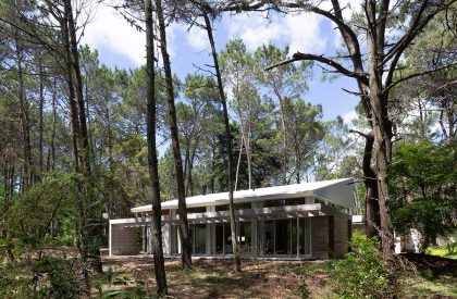 Pingüino House | Estudio Galera