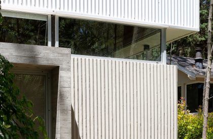 Pingüino House | Estudio Galera