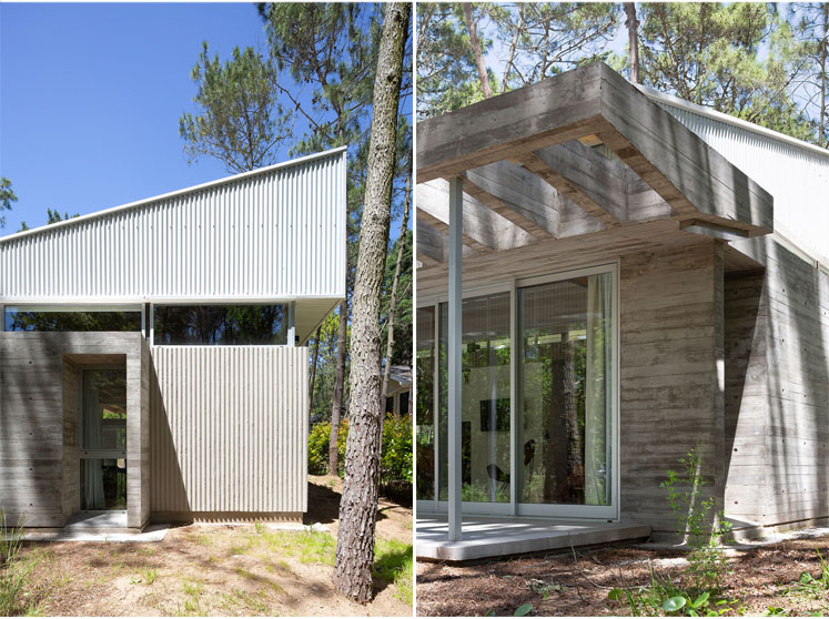 Pingüino House | Estudio Galera