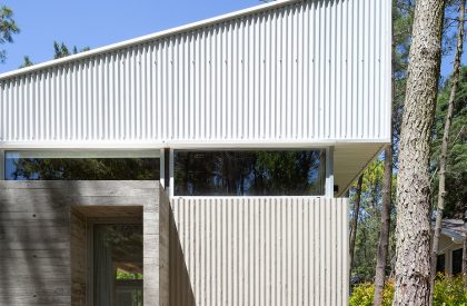 Pingüino House | Estudio Galera