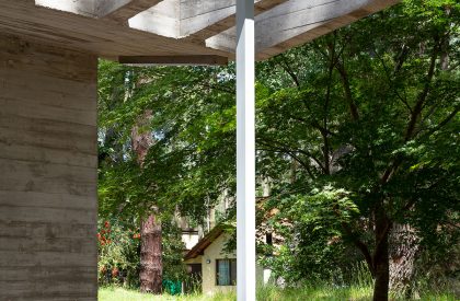 Pingüino House | Estudio Galera