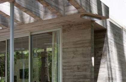 Pingüino House | Estudio Galera