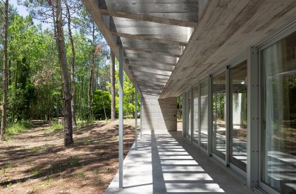 Pingüino House | Estudio Galera