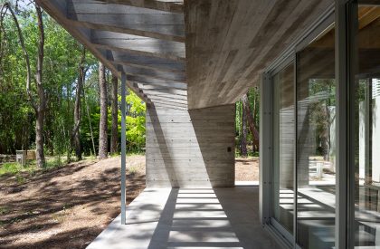 Pingüino House | Estudio Galera
