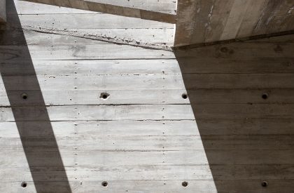 Pingüino House | Estudio Galera
