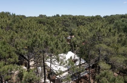 Pingüino House | Estudio Galera