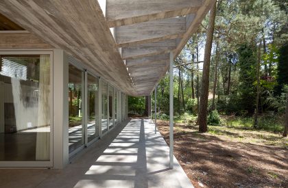 Pingüino House | Estudio Galera