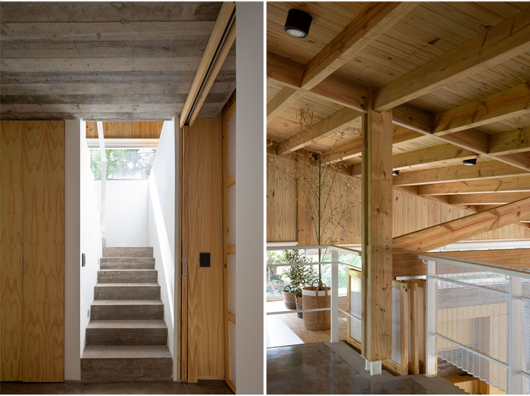 Pingüino House | Estudio Galera