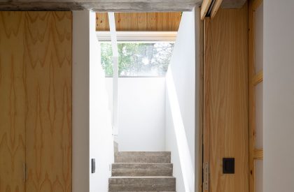 Pingüino House | Estudio Galera