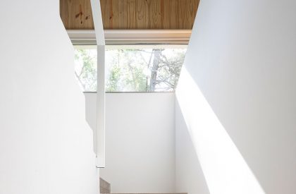 Pingüino House | Estudio Galera