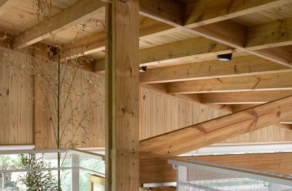 Pingüino House | Estudio Galera