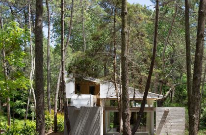 Pingüino House | Estudio Galera