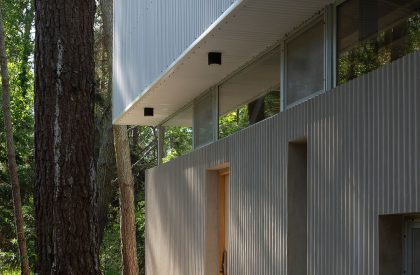 Pingüino House | Estudio Galera