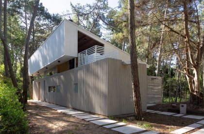 Pingüino House | Estudio Galera