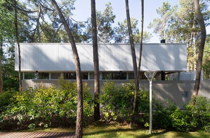Pingüino House | Estudio Galera
