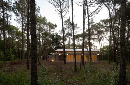 Pingüino House | Estudio Galera