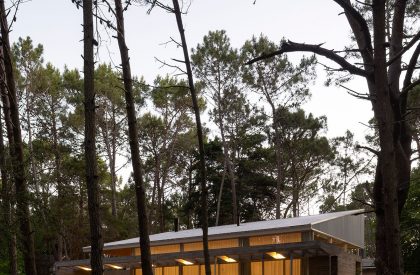 Pingüino House | Estudio Galera