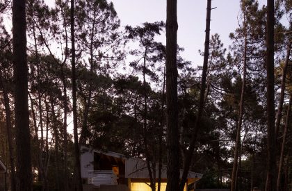 Pingüino House | Estudio Galera