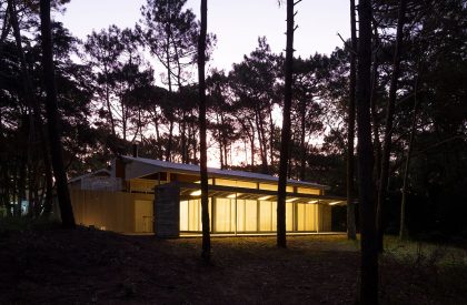 Pingüino House | Estudio Galera
