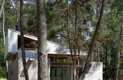 Pingüino House | Estudio Galera