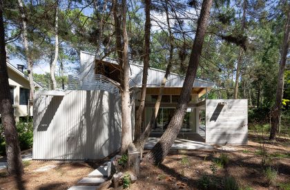 Pingüino House | Estudio Galera