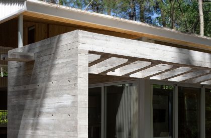 Pingüino House | Estudio Galera
