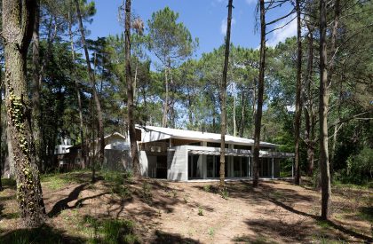 Pingüino House | Estudio Galera