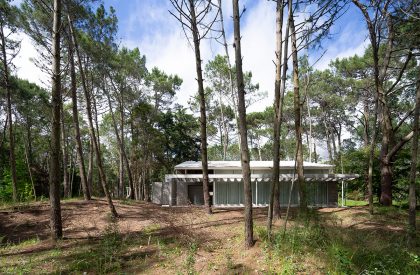 Pingüino House | Estudio Galera
