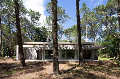 Pingüino House | Estudio Galera
