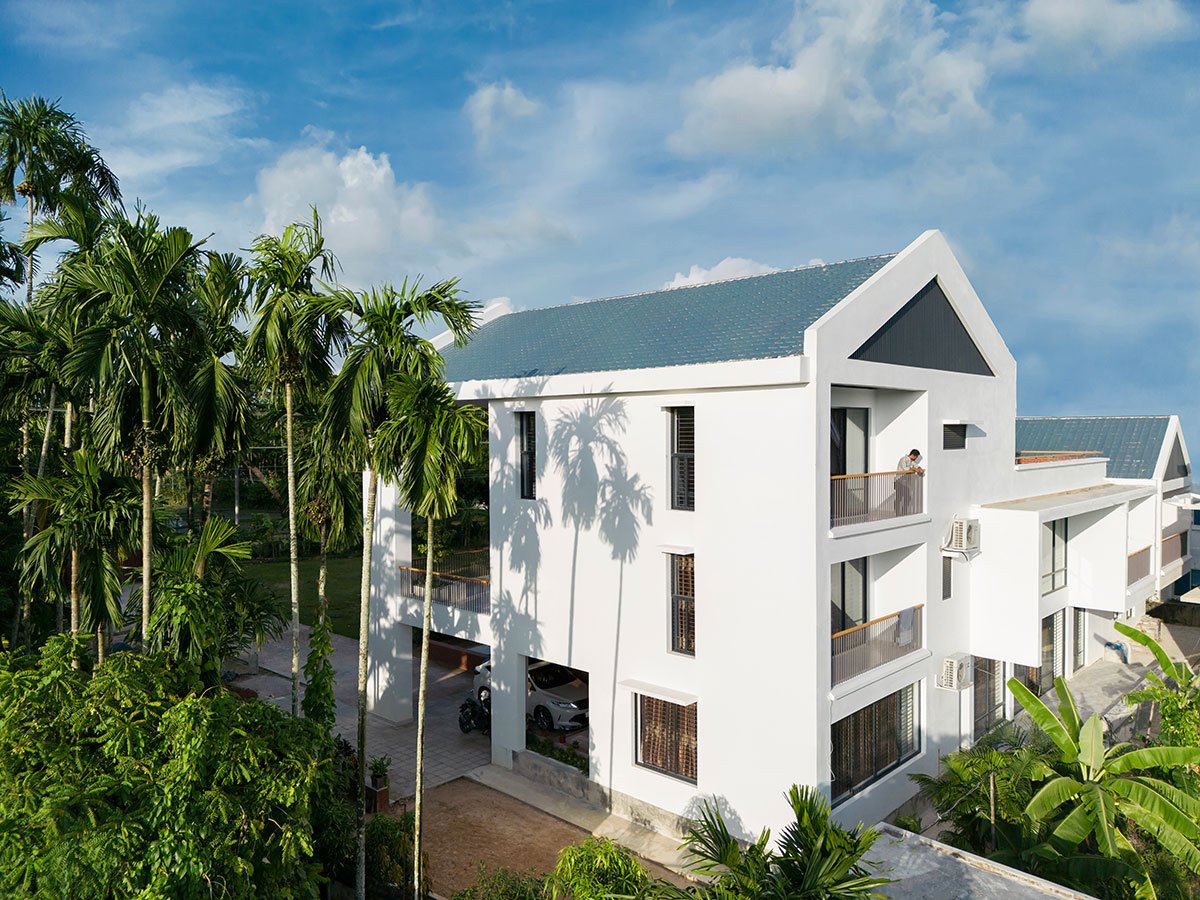 Jol Angina | 3 Points Consultant