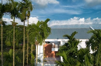 Jol Angina | 3 Points Consultant