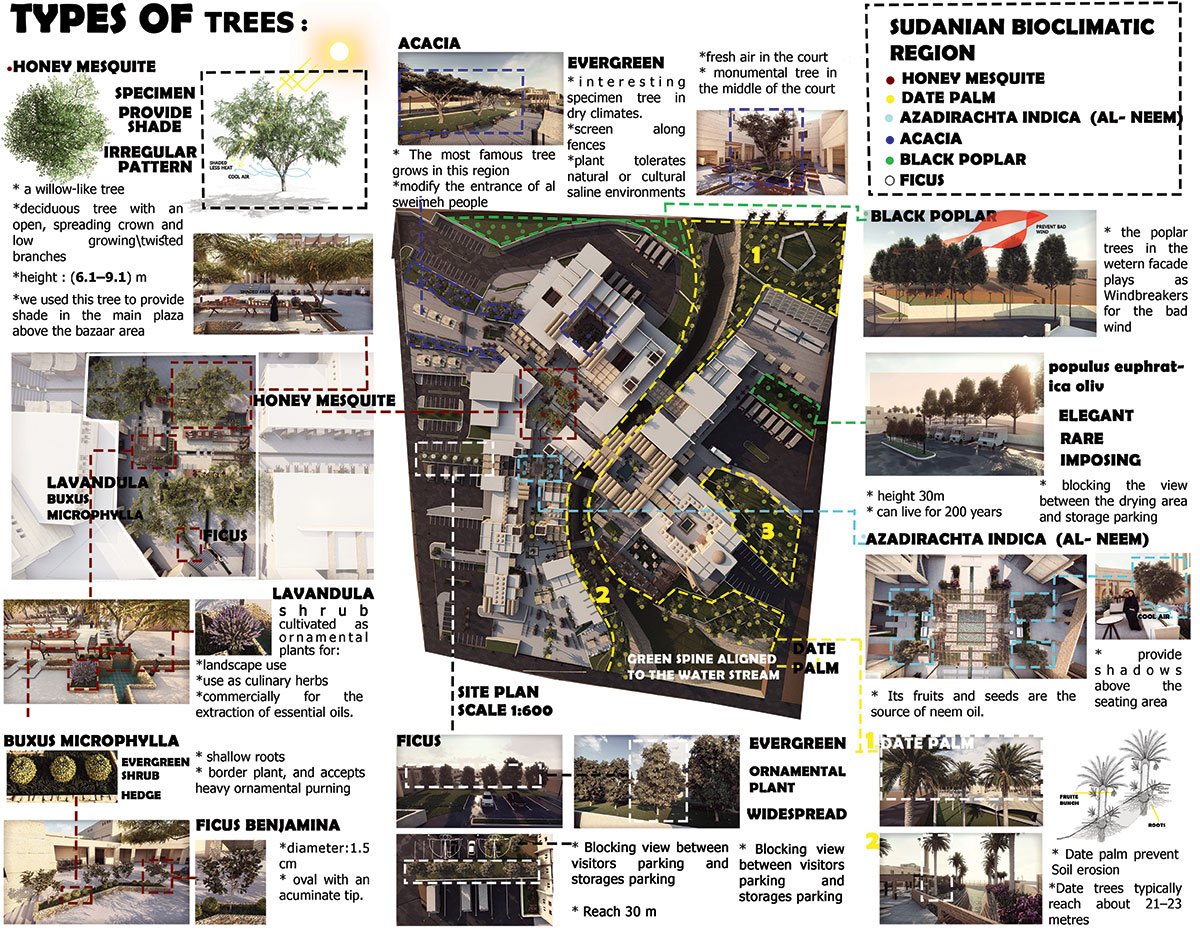 Al Sweimeh Development Project - The Forgotten Village | Architecture Thesis focused on Community Development