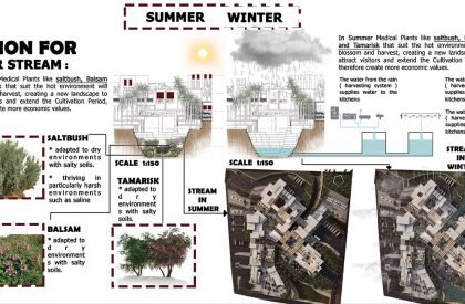 Al Sweimeh Development Project - The Forgotten Village | Architecture Thesis focused on Community Development