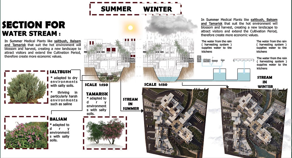 Al Sweimeh Development Project - The Forgotten Village | Architecture Thesis focused on Community Development