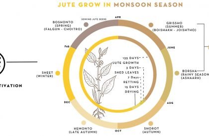 Sonali Asha - Bangabandhu Jute and Textile Museum | Architecture Thesis