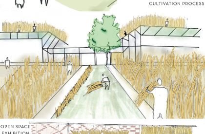 Sonali Asha - Bangabandhu Jute and Textile Museum | Architecture Thesis