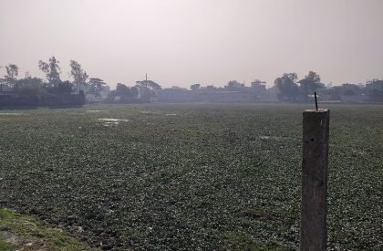 Sonali Asha - Bangabandhu Jute and Textile Museum | Architecture Thesis