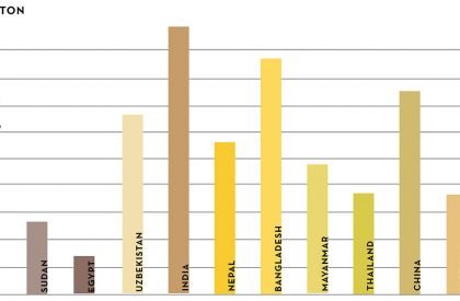 Sonali Asha - Bangabandhu Jute and Textile Museum | Architecture Thesis