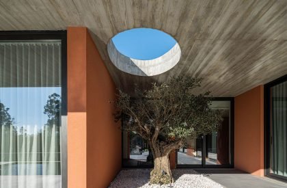 TM House | Inception Architects Studio