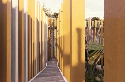 The Second Nest | Architecture Thesis