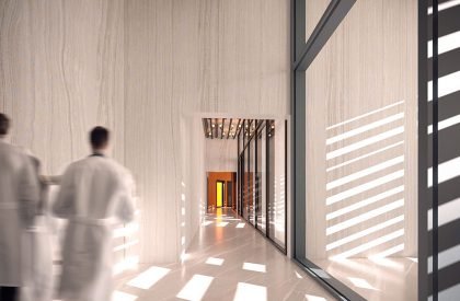 The Second Nest | Architecture Thesis
