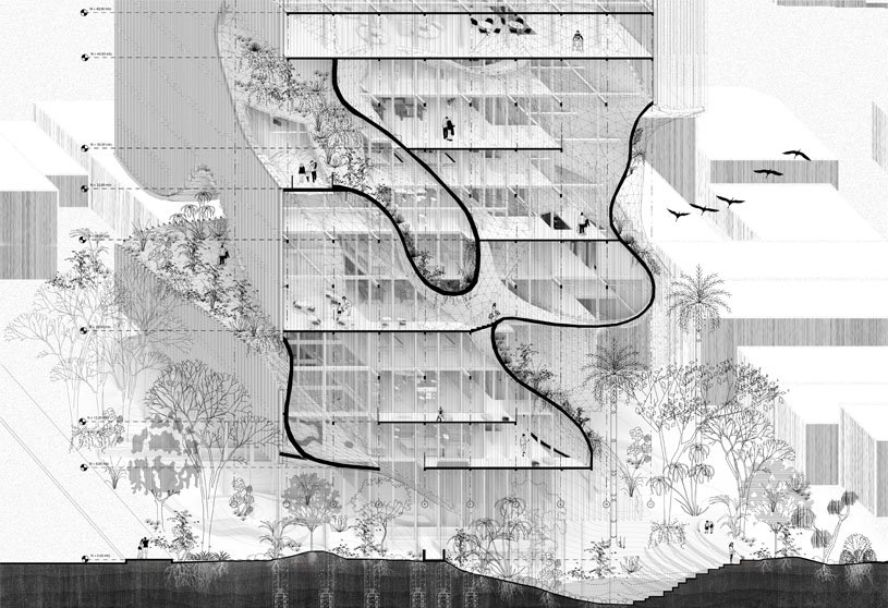 Topographic Voids | Architecture Thesis