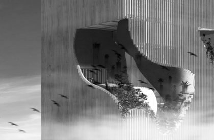 Topographic Voids | Architecture Thesis