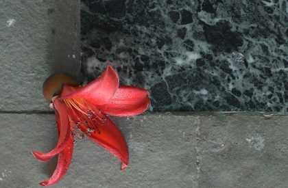 Veiled Building | KUN Studio