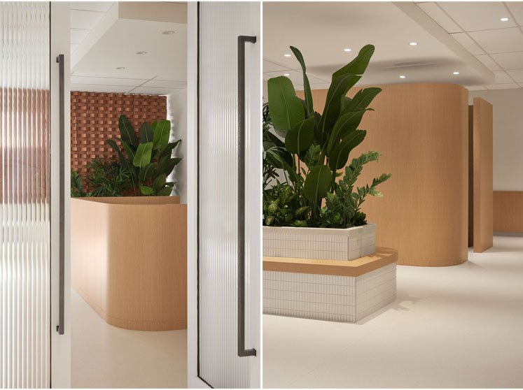 Westmount Square Surgical Center | Espace 313