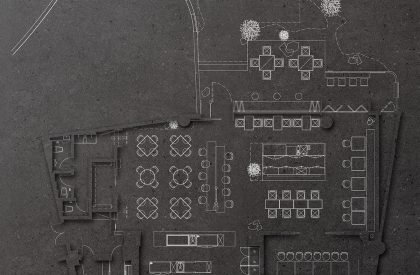 Wild Back | Pig Design