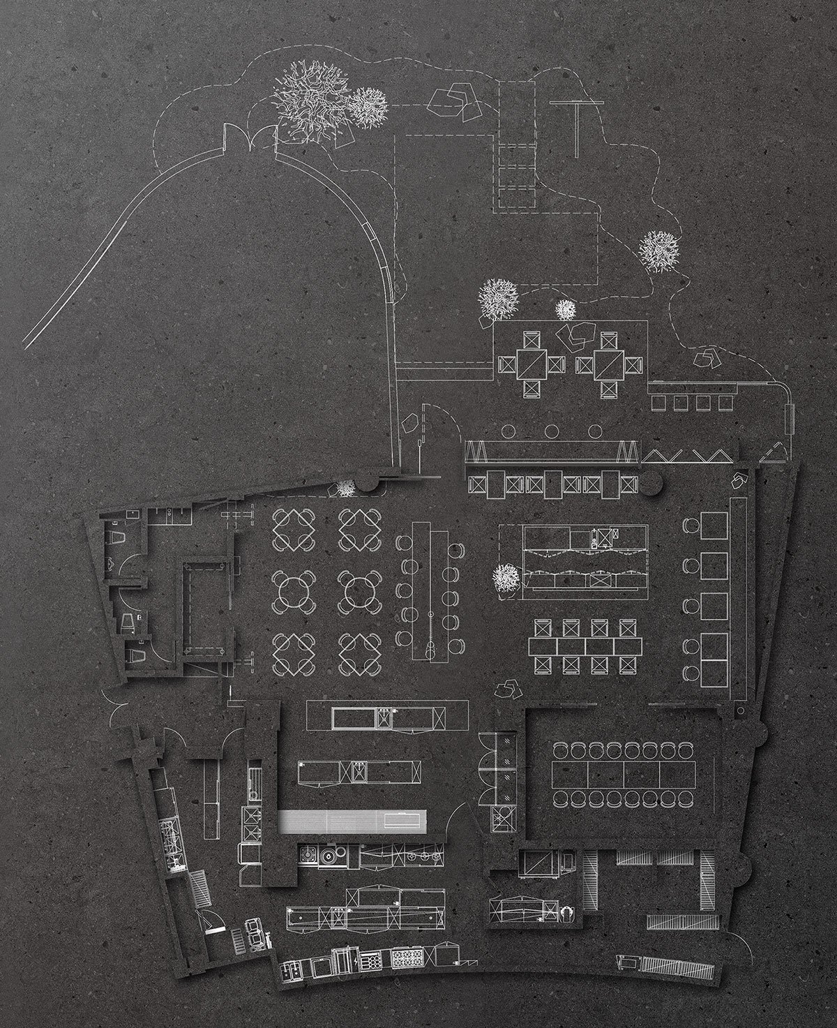 Wild Back | Pig Design